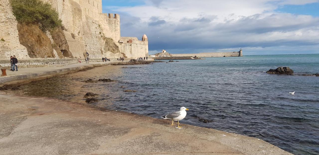 Studio Centre Plage parking gratuit Collioure Esterno foto